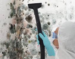 Best Mold Documentation for Insurance Claims in Sheldon, IA